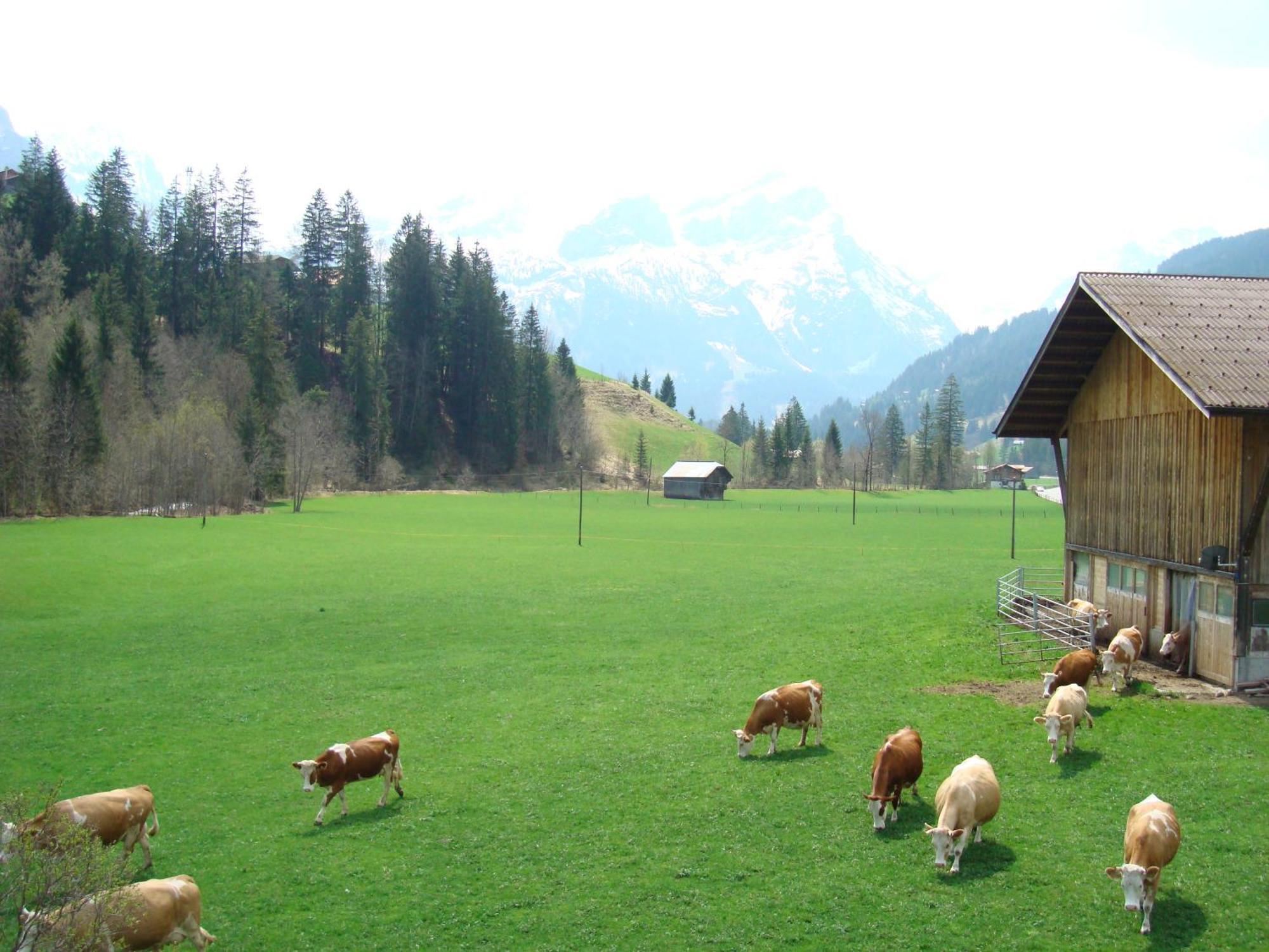 Apartamento Casa Antica Gstaad Exterior foto